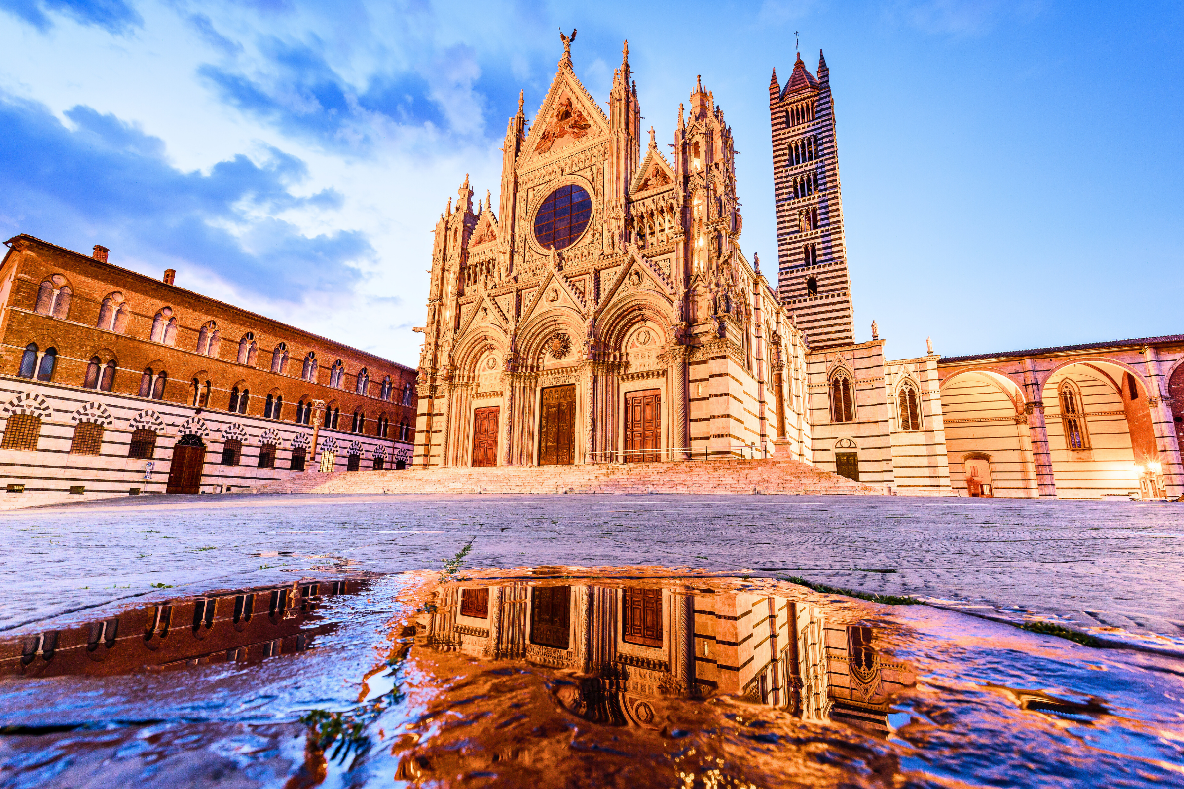 siena (3).webp